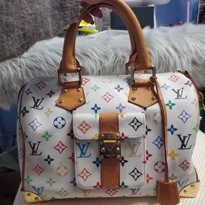 Louis Vuitton Multicolored Speedy 30
